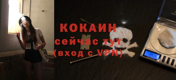 ECSTASY Абаза