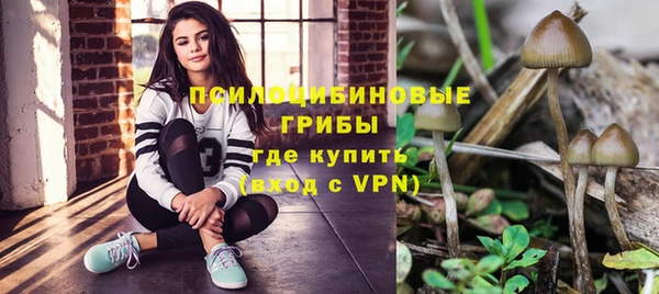 амф Алексеевка
