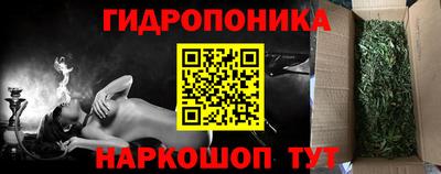 стафф Славгород