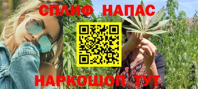 стаф Славянск-на-Кубани
