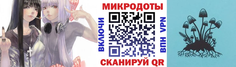 кракен как войти  Советская Гавань  Псилоцибиновые грибы Cubensis  где купить наркоту 