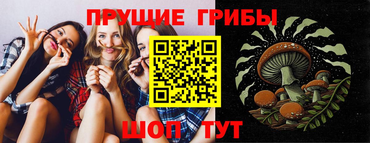 цены наркотик  Псилоцибиновые грибы GOLDEN TEACHER  Советская Гавань  Вход с VPN  Галлюциногенные грибы мицелий 