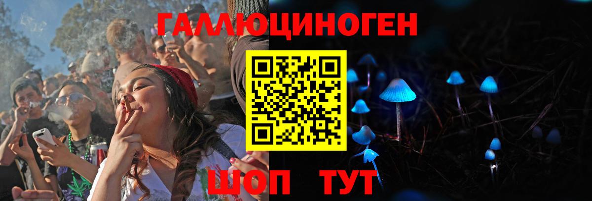 Галлюциногенные грибы Cubensis Советская Гавань