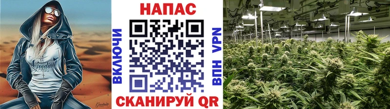Конопля THC 21% Советская Гавань